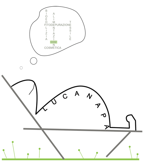 CO2 lu_canapa logo
