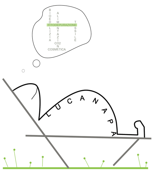 fitodepurazione Basilicata lu_canapa logo